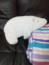 shirokuma