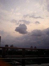c8f25b10.jpg