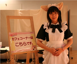 1/14 ˨�����ե� ����1