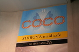 1/28 ��ëCOCO ����2