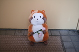 1/29 �ǥ���󥷥��