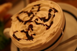 2/19 �ǥ���󥷥��