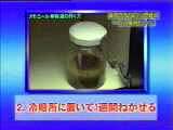 カモミール液1