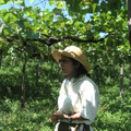 takeda2