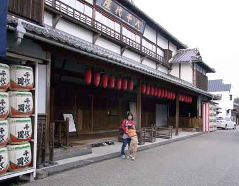 yachiyo