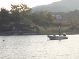 スケ