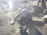 kebu