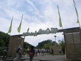 夏フェス