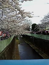 ºù(060328)