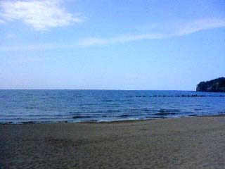 海1