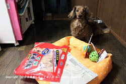 ����ǥ����Υ��ꥹ�ޥ��ץ쥼���