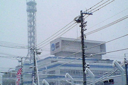 2008/2/23 »¥ËÚ¤ÏÂçÀã
