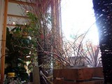 Gee's Greenの店内2