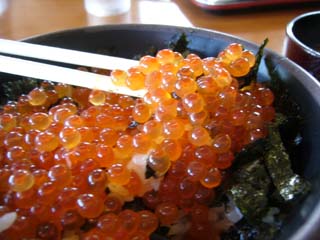 最高の旨さのいくら丼