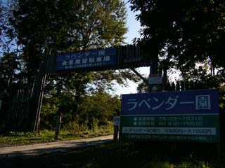 幌見峠のラベンダー園 夢工房