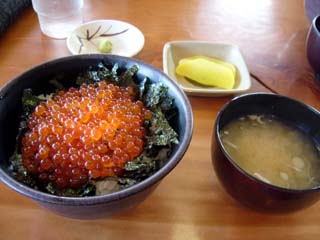 いくら丼