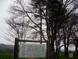 二十間道路桜並木のあらまし