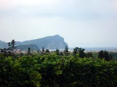 余市