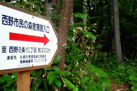 熊注意