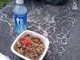 吉野家の牛丼