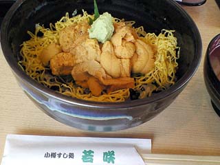 うにちらし