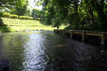 名水ふれあい公園内