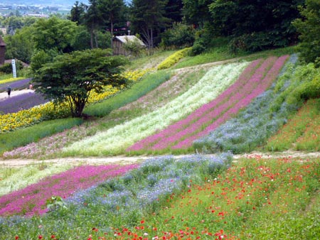 花の絨毯