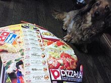 �ԥ��Υ��饷