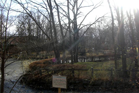 公園