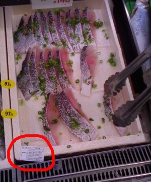 ナイルパーチ