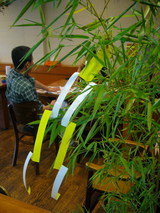 tanabata