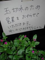tamagire