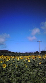 3fb9b71e.jpg
