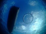 650d5a68.JPG