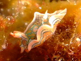 f3b962e6.JPG