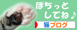 にほんブログ村 猫ブログへ