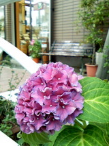 50d5f700.jpg