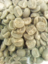 62ab80c4.jpg