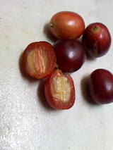6e5773cc.jpg