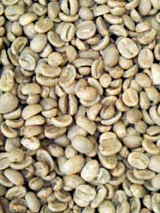 cdc097e9.jpg