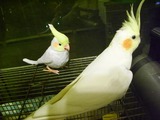 ̴���Ȥ�vs���2