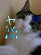 やば