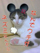 2008フー