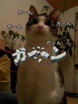 がーん