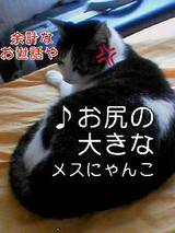 キューティー2