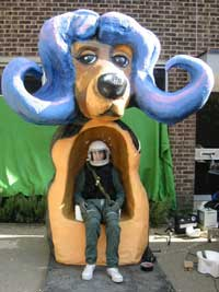Mull Dog