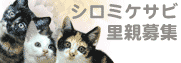 シロミケサビ