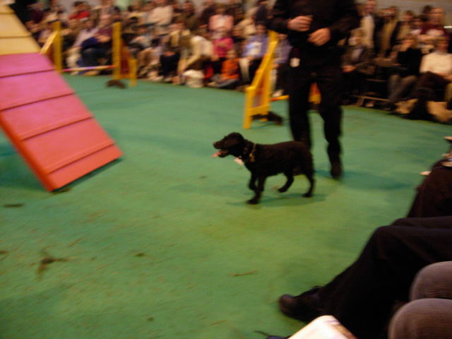 Agility