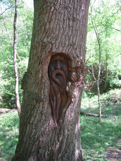 tree spirit