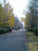 1013f2e3.JPG